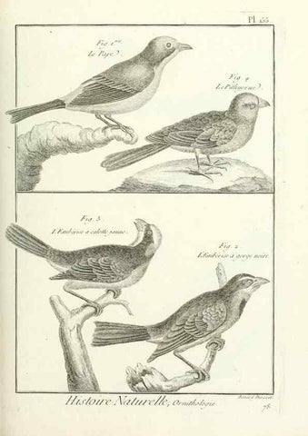 Reproducción/Reproduction 7850677578: Tableau encyclopédique et méthodique des trois règnes de la nature.. A Paris :Chez Mme. veuve Agasse ...,1823.