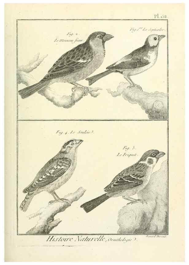 Reproducción/Reproduction 7850681064: Tableau encyclopédique et méthodique des trois règnes de la nature.. A Paris :Chez Mme. veuve Agasse ...,1823.