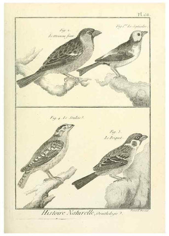 Reproducción/Reproduction 7850681064: Tableau encyclopédique et méthodique des trois règnes de la nature.. A Paris :Chez Mme. veuve Agasse ...,1823.