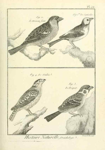 Reproducción/Reproduction 7850681064: Tableau encyclopédique et méthodique des trois règnes de la nature.. A Paris :Chez Mme. veuve Agasse ...,1823.