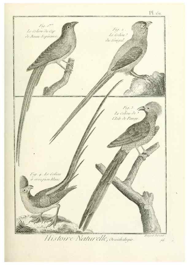Reproducción/Reproduction 7850673298: Tableau encyclopédique et méthodique des trois règnes de la nature.. A Paris :Chez Mme. veuve Agasse ...,1823.