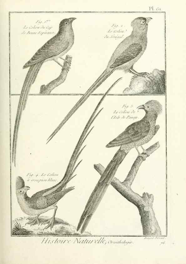 Reproducción/Reproduction 7850673298: Tableau encyclopédique et méthodique des trois règnes de la nature.. A Paris :Chez Mme. veuve Agasse ...,1823.