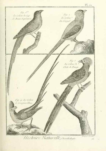 Reproducción/Reproduction 7850673298: Tableau encyclopédique et méthodique des trois règnes de la nature.. A Paris :Chez Mme. veuve Agasse ...,1823.