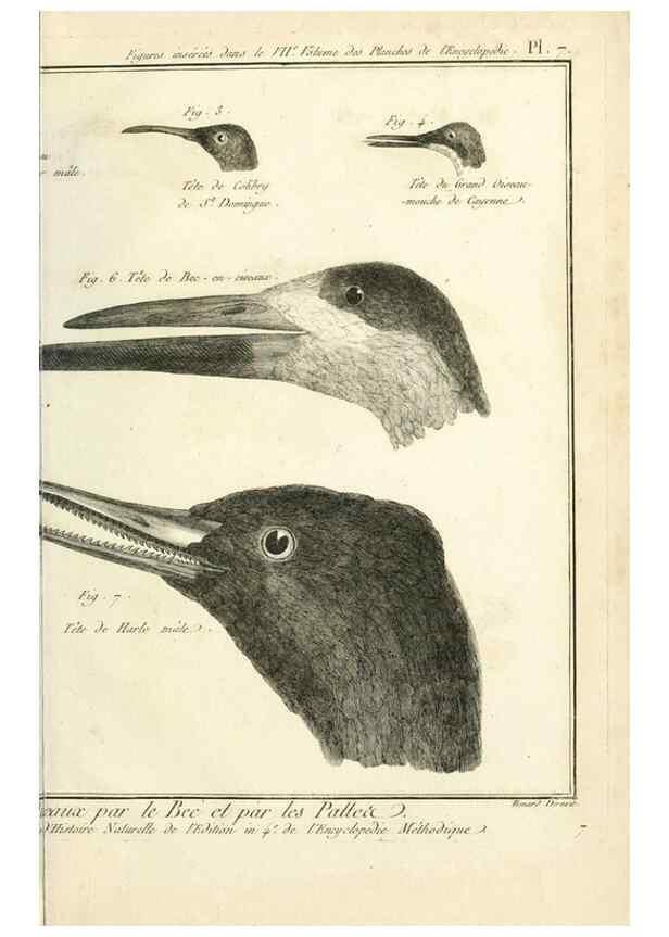 Reproducción/Reproduction 7850880992: Tableau encyclopédique et méthodique des trois règnes de la nature.. A Paris :Chez Mme. veuve Agasse ...,1823.