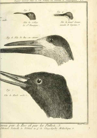 Reproducción/Reproduction 7850880992: Tableau encyclopédique et méthodique des trois règnes de la nature.. A Paris :Chez Mme. veuve Agasse ...,1823.