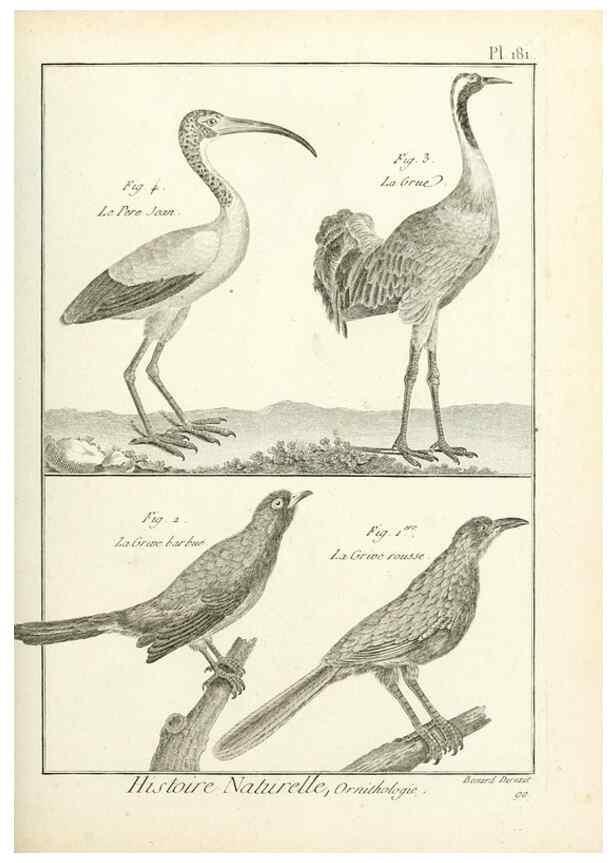 Reproducción/Reproduction 7851194388: Tableau encyclopédique et méthodique des trois règnes de la nature.. A Paris :Chez Mme. veuve Agasse ...,1823.