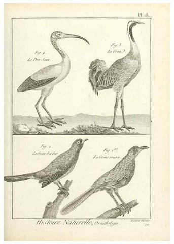 Reproducción/Reproduction 7851194388: Tableau encyclopédique et méthodique des trois règnes de la nature.. A Paris :Chez Mme. veuve Agasse ...,1823.