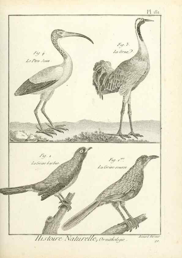 Reproducción/Reproduction 7851194388: Tableau encyclopédique et méthodique des trois règnes de la nature.. A Paris :Chez Mme. veuve Agasse ...,1823.