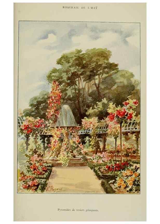 Reproducción/Reproduction 7873453106: Les roses cultivées à l'Haÿ en 1902 :. Paris :Rousset,1902.