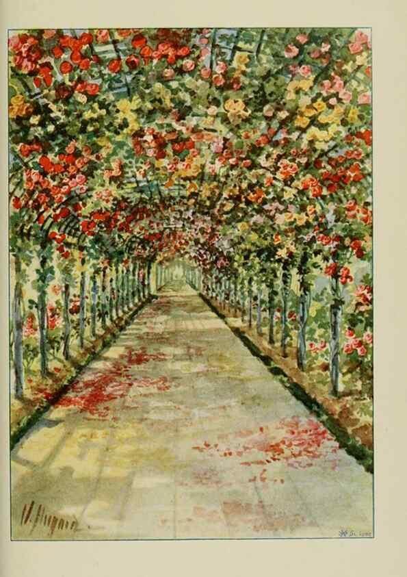 Reproducción/Reproduction 7873450572: Les roses cultivées à l'Haÿ en 1902 :. Paris :Rousset,1902.