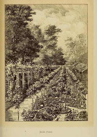 Reproducción/Reproduction 7873435428: Les roses cultivées à l'Haÿ en 1902 :. Paris :Rousset,1902.