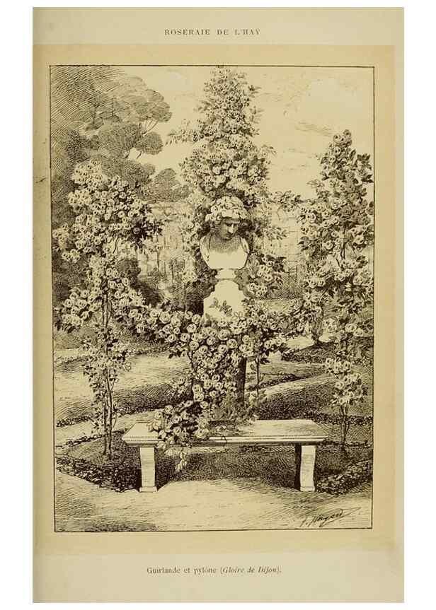 Reproducción/Reproduction 7873443918: Les roses cultivées à l'Haÿ en 1902 :. Paris :Rousset,1902.