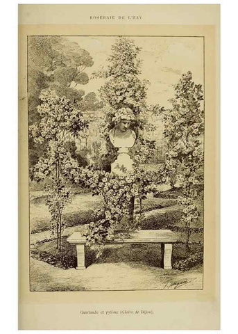 Reproducción/Reproduction 7873443918: Les roses cultivées à l'Haÿ en 1902 :. Paris :Rousset,1902.