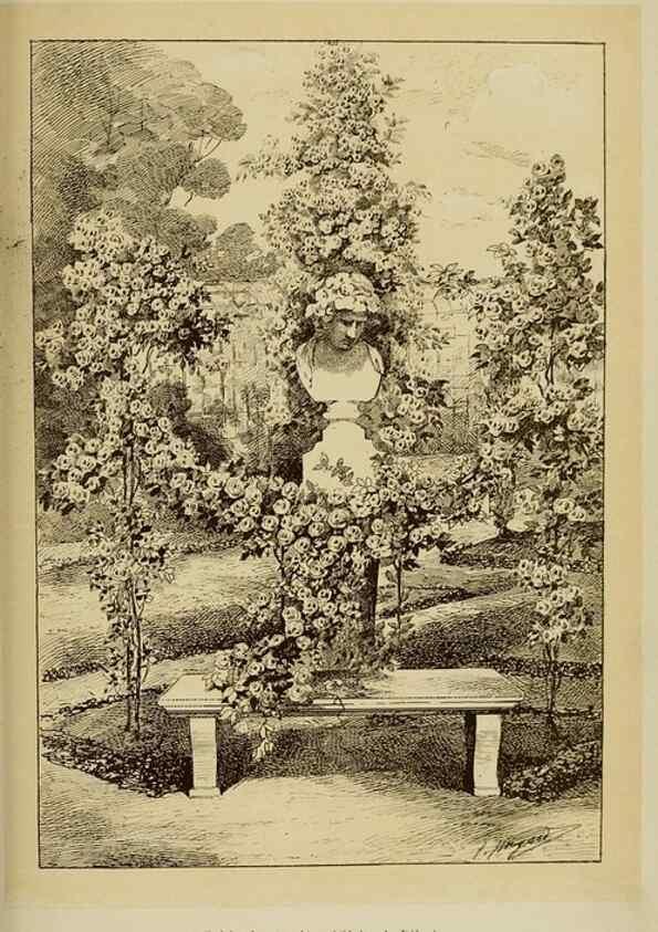 Reproducción/Reproduction 7873443918: Les roses cultivées à l'Haÿ en 1902 :. Paris :Rousset,1902.