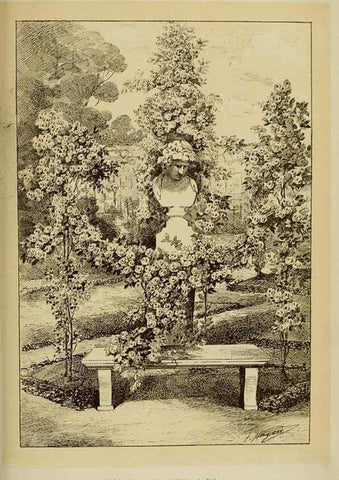 Reproducción/Reproduction 7873443918: Les roses cultivées à l'Haÿ en 1902 :. Paris :Rousset,1902.