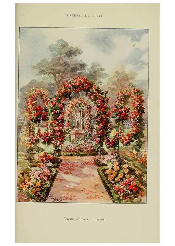 Reproducción/Reproduction 7873445908: Les roses cultivées à l'Haÿ en 1902 :. Paris :Rousset,1902.