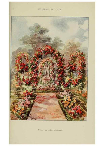 Reproducción/Reproduction 7873445908: Les roses cultivées à l'Haÿ en 1902 :. Paris :Rousset,1902.