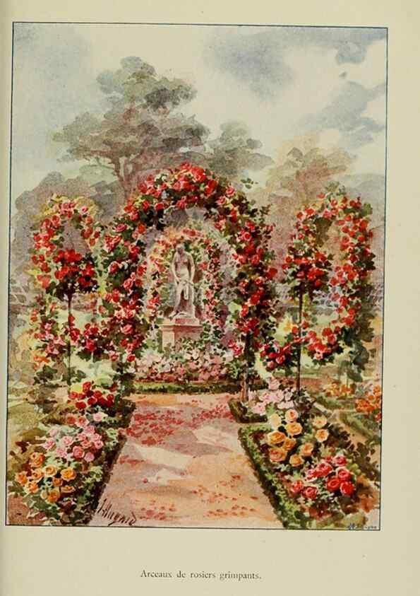 Reproducción/Reproduction 7873445908: Les roses cultivées à l'Haÿ en 1902 :. Paris :Rousset,1902.