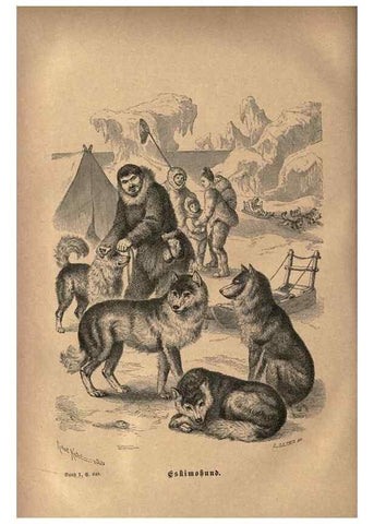 Reproducción/Reproduction 7971902526: Brehms thierleben, allgemeine kunde des thierreichs.. Leipzig :Verlag des Bibliographischen instituts,1876-1879.