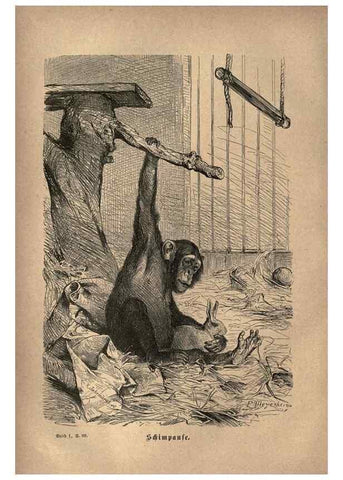 Reproducción/Reproduction 7971888158: Brehms thierleben, allgemeine kunde des thierreichs.. Leipzig :Verlag des Bibliographischen instituts,1876-1879.