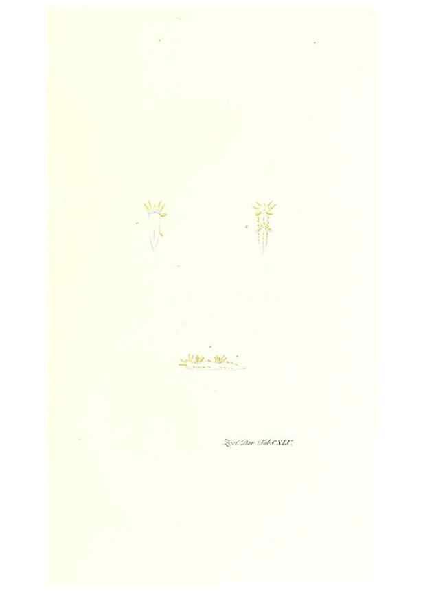 Reproducción/Reproduction 7497779156: Zoologia danica, sev Animalivm Daniae et Norvegiae rariorvm ac minvs notorvm descriptiones et historia .... Havniae :typis N. Mölleri aulae regiae typographi et filii,1788-1806.