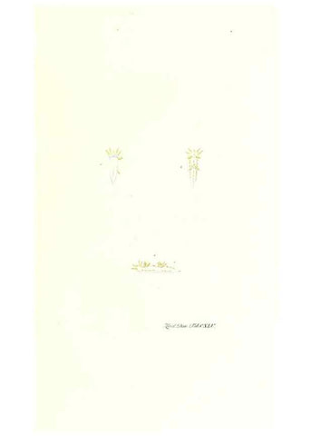Reproducción/Reproduction 7497779156: Zoologia danica, sev Animalivm Daniae et Norvegiae rariorvm ac minvs notorvm descriptiones et historia .... Havniae :typis N. Mölleri aulae regiae typographi et filii,1788-1806.