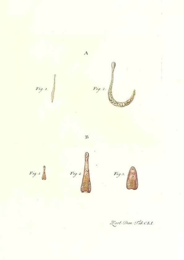 Reproducción/Reproduction 7497783774: Zoologia danica, sev Animalivm Daniae et Norvegiae rariorvm ac minvs notorvm descriptiones et historia .... Havniae :typis N. Mölleri aulae regiae typographi et filii,1788-1806.