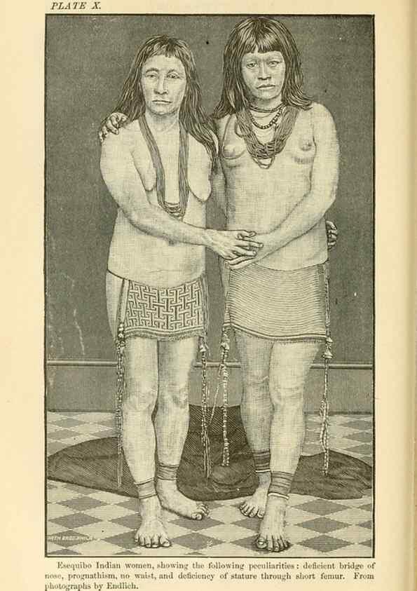 Reproducción/Reproduction 7508302234: The origin of the fittest :. New York :D. Appleton,1887.