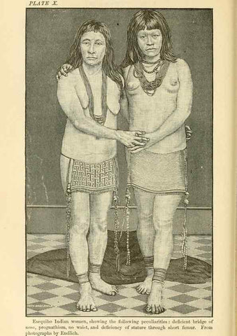 Reproducción/Reproduction 7508302234: The origin of the fittest :. New York :D. Appleton,1887.
