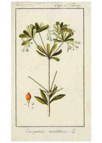 Reproducción/Reproduction 7535067492: Dreyhundert auserlesene amerikanische Gewächse nach linneischer Ordnung.. Nürnberg,Auf Kosten der Raspischen Buchh.,1785-88.