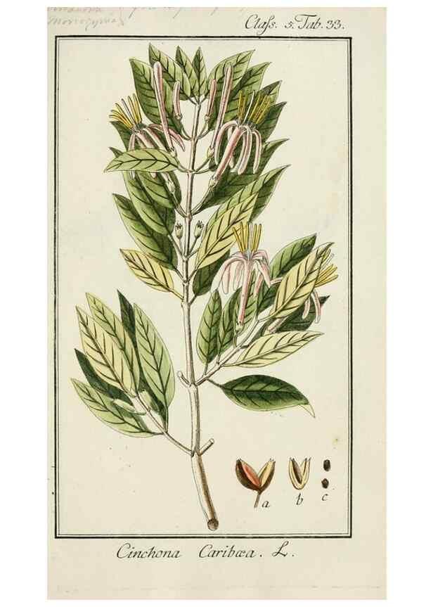 Reproducción/Reproduction 7535047356: Dreyhundert auserlesene amerikanische Gewächse nach linneischer Ordnung.. Nürnberg,Auf Kosten der Raspischen Buchh.,1785-88.