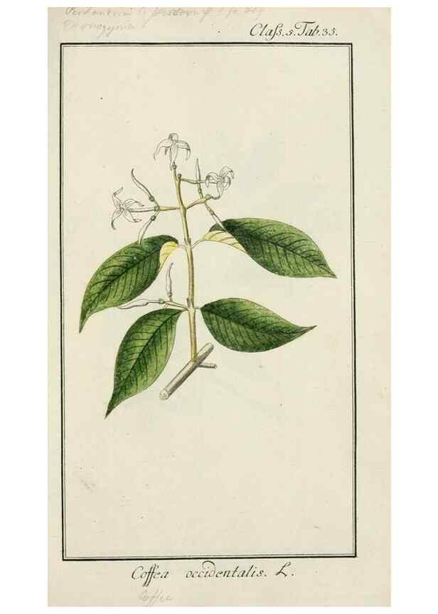Reproducción/Reproduction 7535049930: Dreyhundert auserlesene amerikanische Gewächse nach linneischer Ordnung.. Nürnberg,Auf Kosten der Raspischen Buchh.,1785-88.