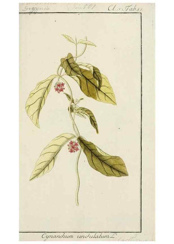 Reproducción/Reproduction 7535122454: Dreyhundert auserlesene amerikanische Gewächse nach linneischer Ordnung.. Nürnberg,Auf Kosten der Raspischen Buchh.,1785-88.