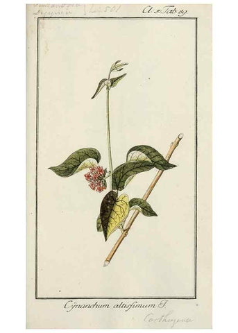 Reproducción/Reproduction 7535123624: Dreyhundert auserlesene amerikanische Gewächse nach linneischer Ordnung.. Nürnberg,Auf Kosten der Raspischen Buchh.,1785-88.