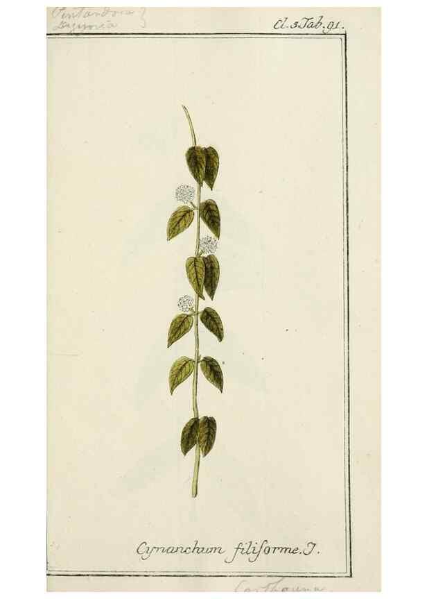 Reproducción/Reproduction 7535127002: Dreyhundert auserlesene amerikanische Gewächse nach linneischer Ordnung.. Nürnberg,Auf Kosten der Raspischen Buchh.,1785-88.