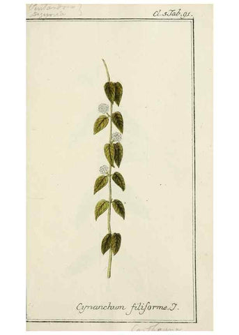 Reproducción/Reproduction 7535127002: Dreyhundert auserlesene amerikanische Gewächse nach linneischer Ordnung.. Nürnberg,Auf Kosten der Raspischen Buchh.,1785-88.