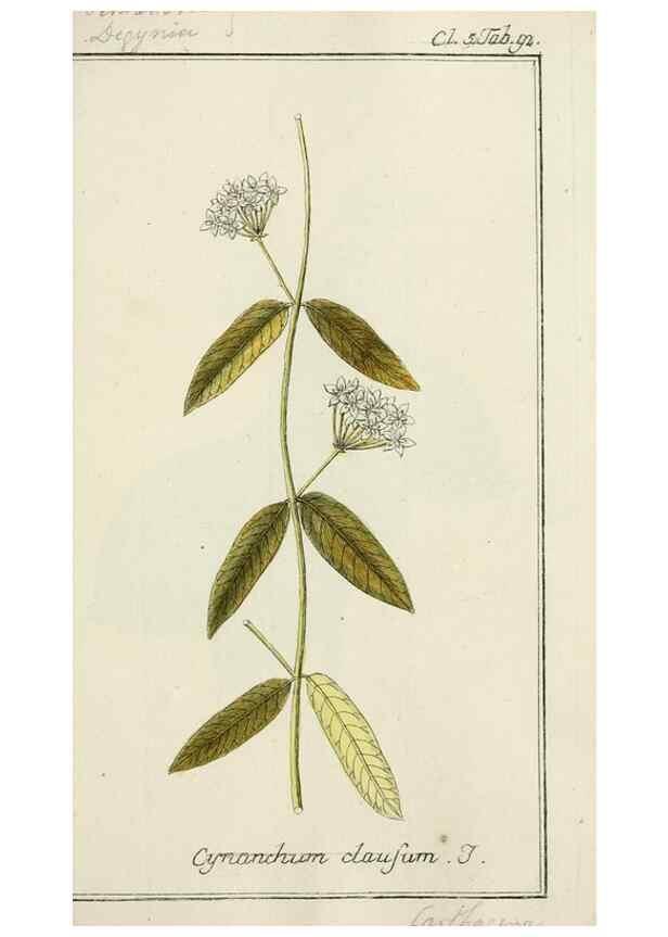 Reproducción/Reproduction 7535128404: Dreyhundert auserlesene amerikanische Gewächse nach linneischer Ordnung.. Nürnberg,Auf Kosten der Raspischen Buchh.,1785-88.