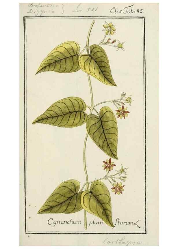 Reproducción/Reproduction 7535117866: Dreyhundert auserlesene amerikanische Gewächse nach linneischer Ordnung.. Nürnberg,Auf Kosten der Raspischen Buchh.,1785-88.