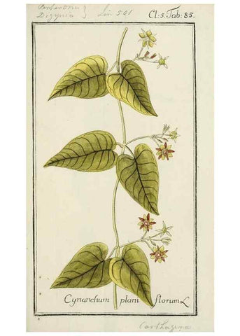 Reproducción/Reproduction 7535117866: Dreyhundert auserlesene amerikanische Gewächse nach linneischer Ordnung.. Nürnberg,Auf Kosten der Raspischen Buchh.,1785-88.