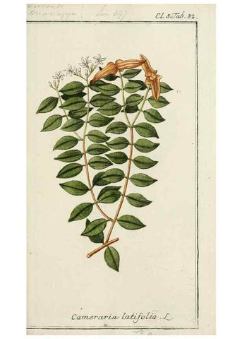 Reproducción/Reproduction 7535113568: Dreyhundert auserlesene amerikanische Gewächse nach linneischer Ordnung.. Nürnberg,Auf Kosten der Raspischen Buchh.,1785-88.