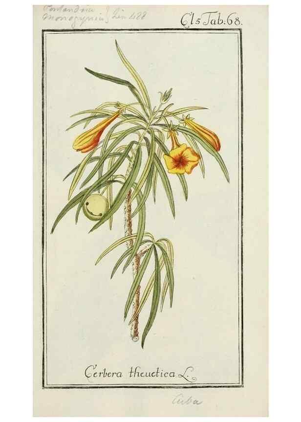 Reproducción/Reproduction 7535094278: Dreyhundert auserlesene amerikanische Gewächse nach linneischer Ordnung.. Nürnberg,Auf Kosten der Raspischen Buchh.,1785-88.