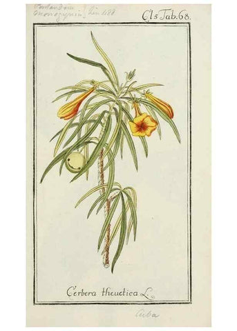 Reproducción/Reproduction 7535094278: Dreyhundert auserlesene amerikanische Gewächse nach linneischer Ordnung.. Nürnberg,Auf Kosten der Raspischen Buchh.,1785-88.