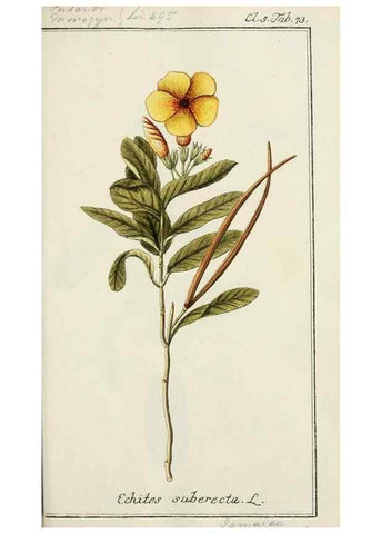 Reproducción/Reproduction 7535101632: Dreyhundert auserlesene amerikanische Gewächse nach linneischer Ordnung.. Nürnberg,Auf Kosten der Raspischen Buchh.,1785-88.