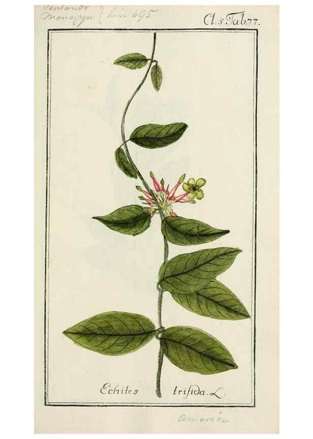 Reproducción/Reproduction 7535106008: Dreyhundert auserlesene amerikanische Gewächse nach linneischer Ordnung.. Nürnberg,Auf Kosten der Raspischen Buchh.,1785-88.