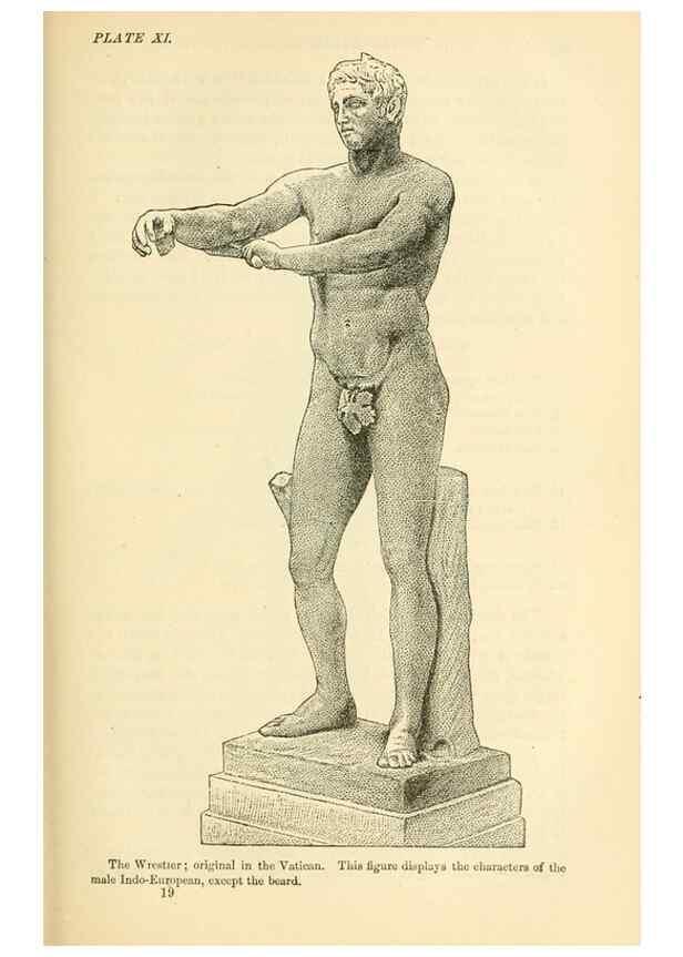 Reproducción/Reproduction 7508304458: The origin of the fittest :. New York :D. Appleton,1887.