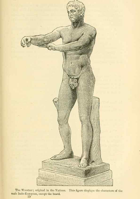 Reproducción/Reproduction 7508304458: The origin of the fittest :. New York :D. Appleton,1887.