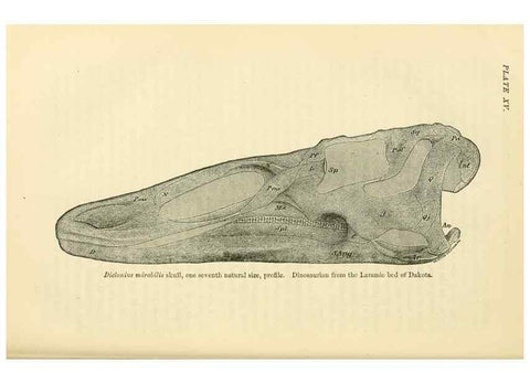 Reproducción/Reproduction 7508312964: The origin of the fittest :. New York :D. Appleton,1887.