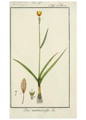 Reproducción/Reproduction 7535019312: Dreyhundert auserlesene amerikanische Gewächse nach linneischer Ordnung.. Nürnberg,Auf Kosten der Raspischen Buchh.,1785-88.