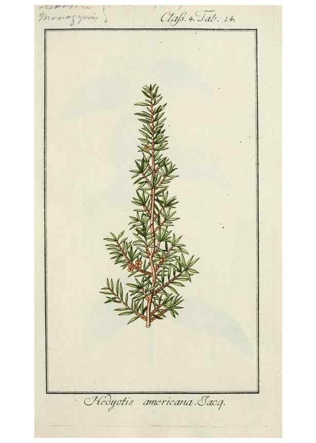 Reproducción/Reproduction 7535021370: Dreyhundert auserlesene amerikanische Gewächse nach linneischer Ordnung.. Nürnberg,Auf Kosten der Raspischen Buchh.,1785-88.