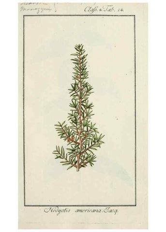 Reproducción/Reproduction 7535021370: Dreyhundert auserlesene amerikanische Gewächse nach linneischer Ordnung.. Nürnberg,Auf Kosten der Raspischen Buchh.,1785-88.